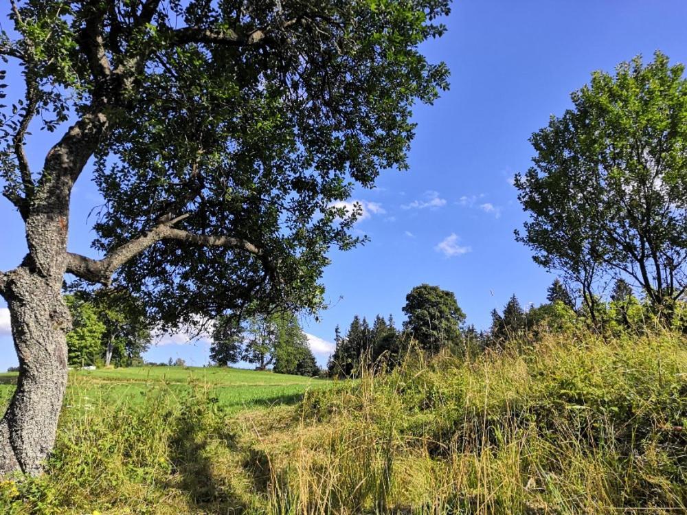 Vila Chaloupka Karolinka Exteriér fotografie