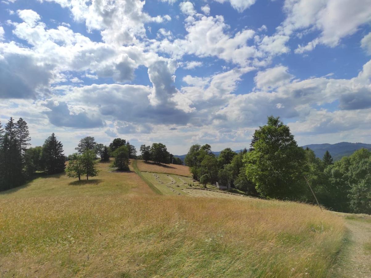 Vila Chaloupka Karolinka Exteriér fotografie