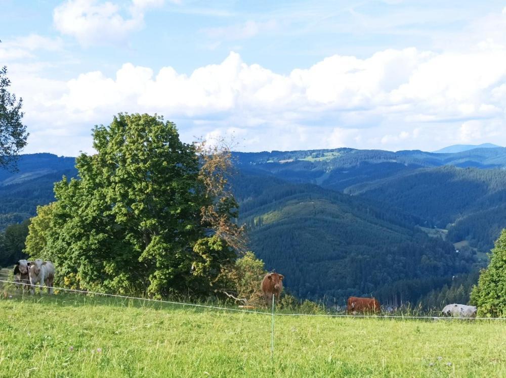 Vila Chaloupka Karolinka Exteriér fotografie
