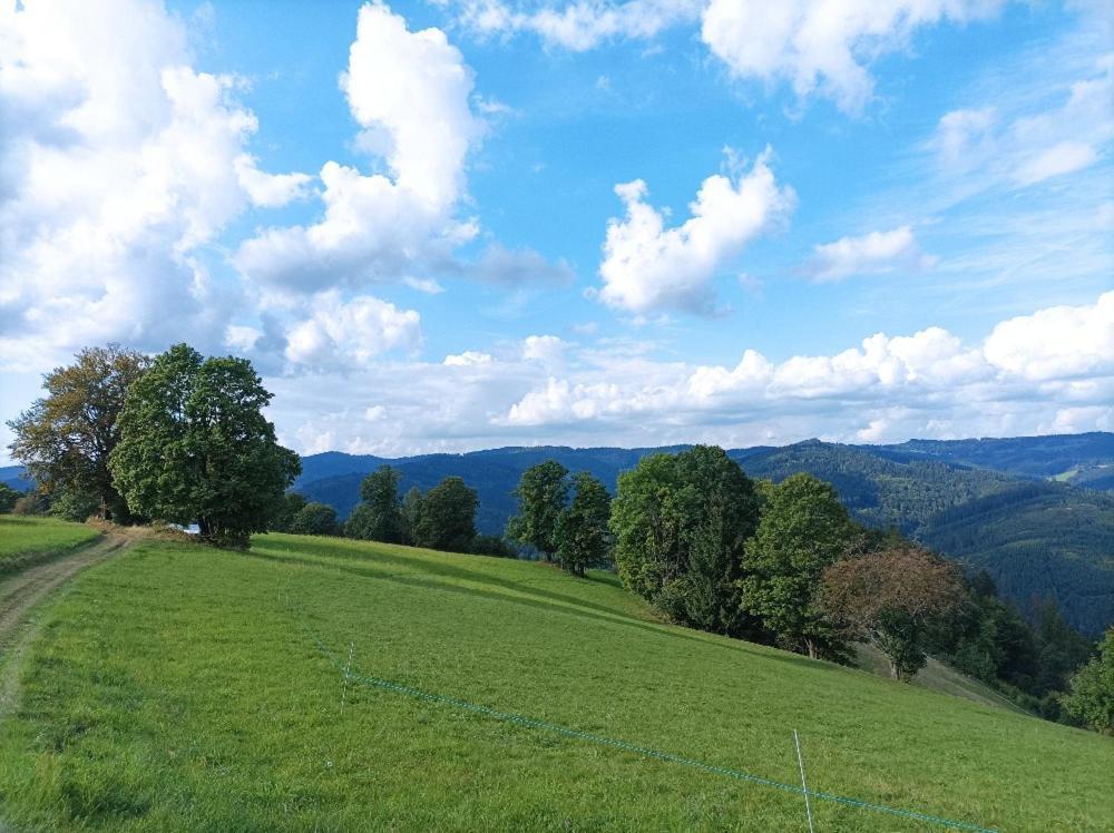 Vila Chaloupka Karolinka Exteriér fotografie