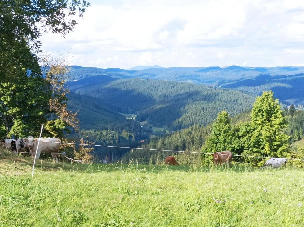 Vila Chaloupka Karolinka Exteriér fotografie
