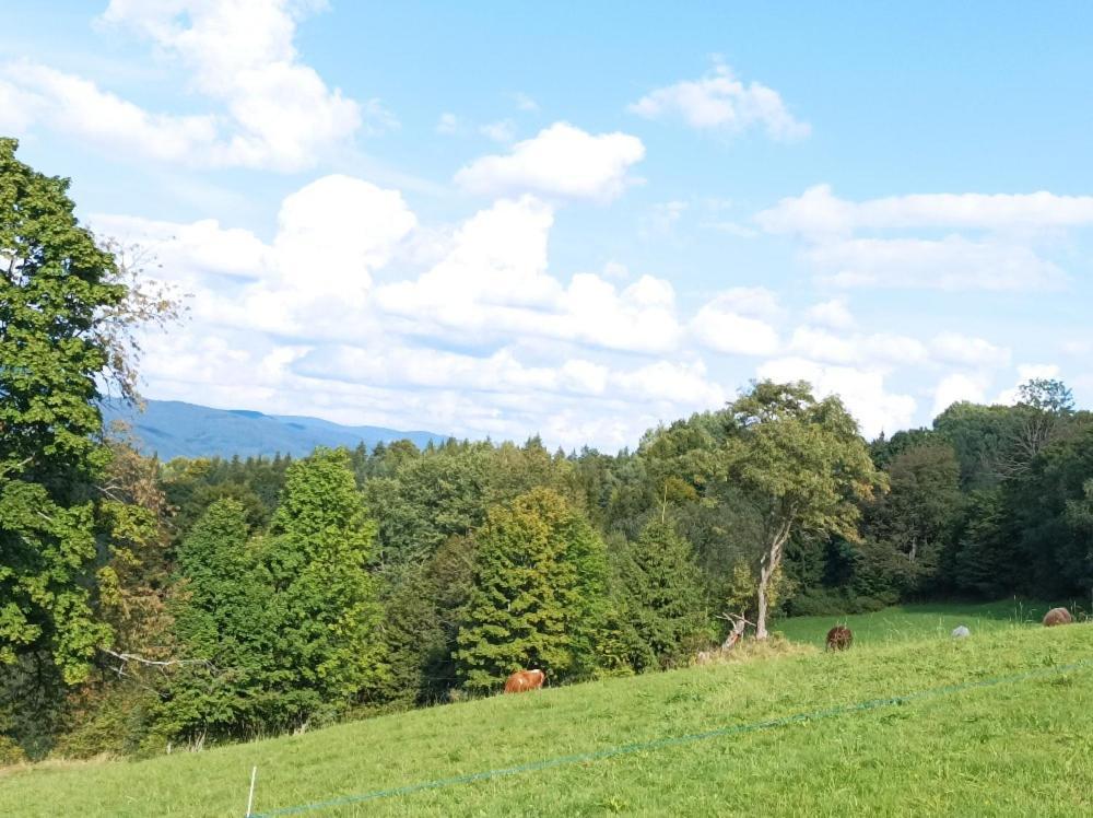 Vila Chaloupka Karolinka Exteriér fotografie
