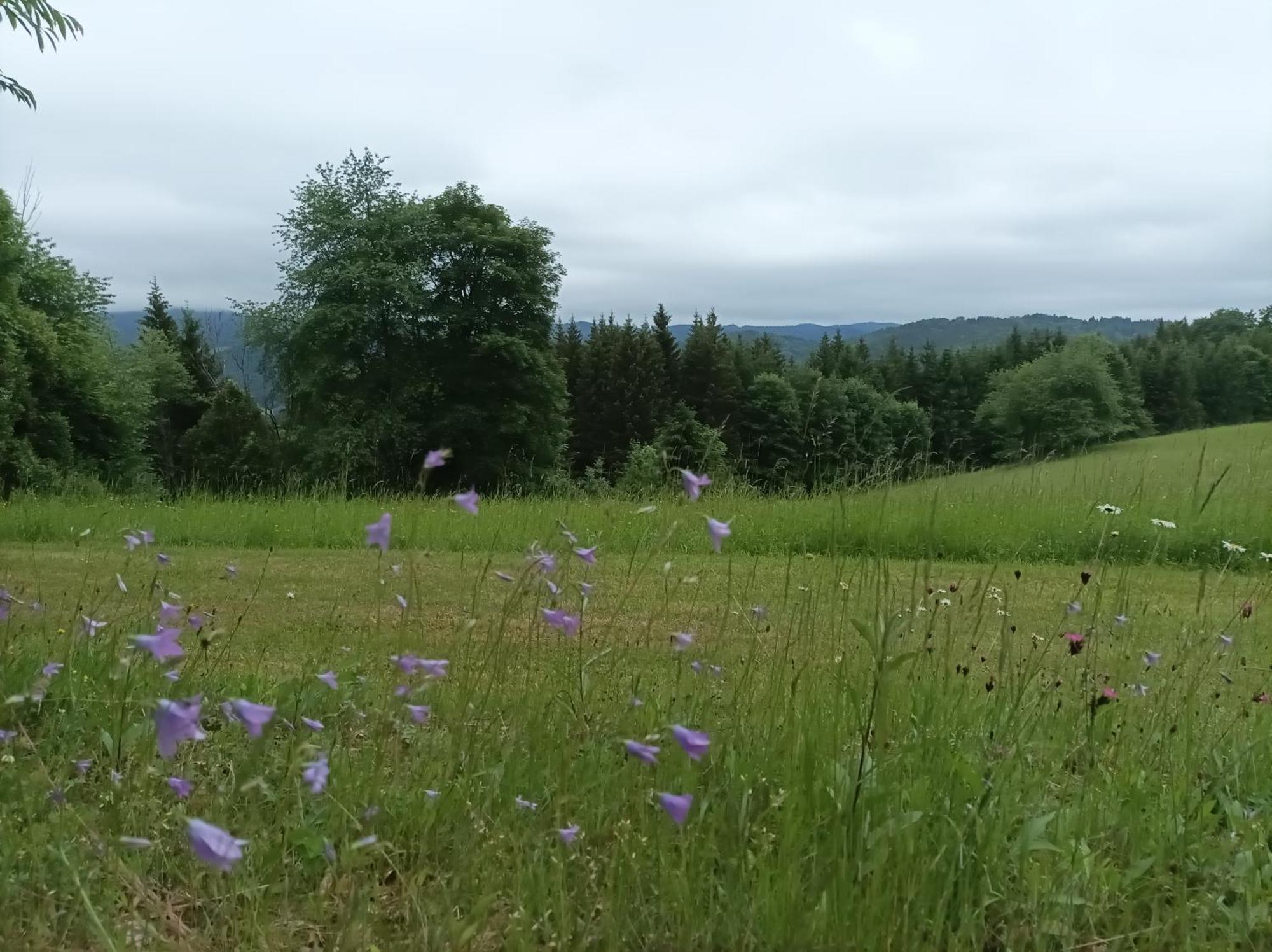 Vila Chaloupka Karolinka Exteriér fotografie